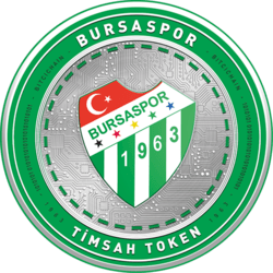 Bursaspor Fan Token
